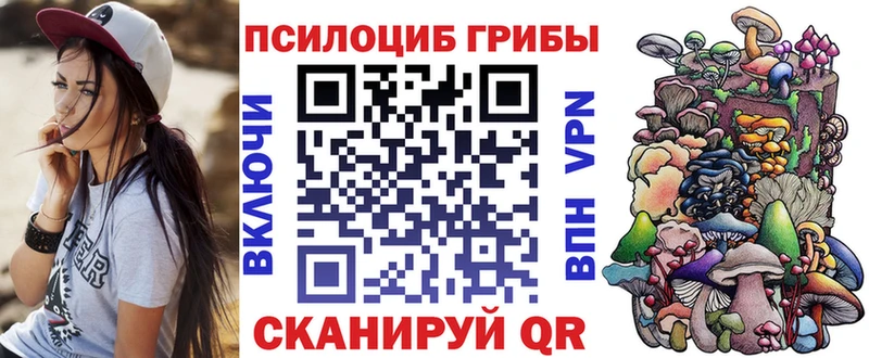 Псилоцибиновые грибы прущие грибы  Чаплыгин 