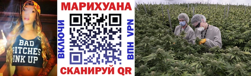 наркота  Чаплыгин  Шишки марихуана сатива 